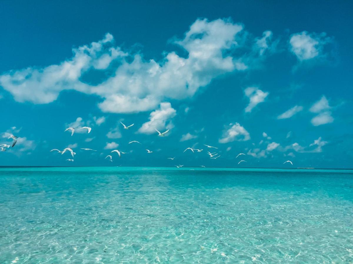 Perla Dhangethi Esterno foto