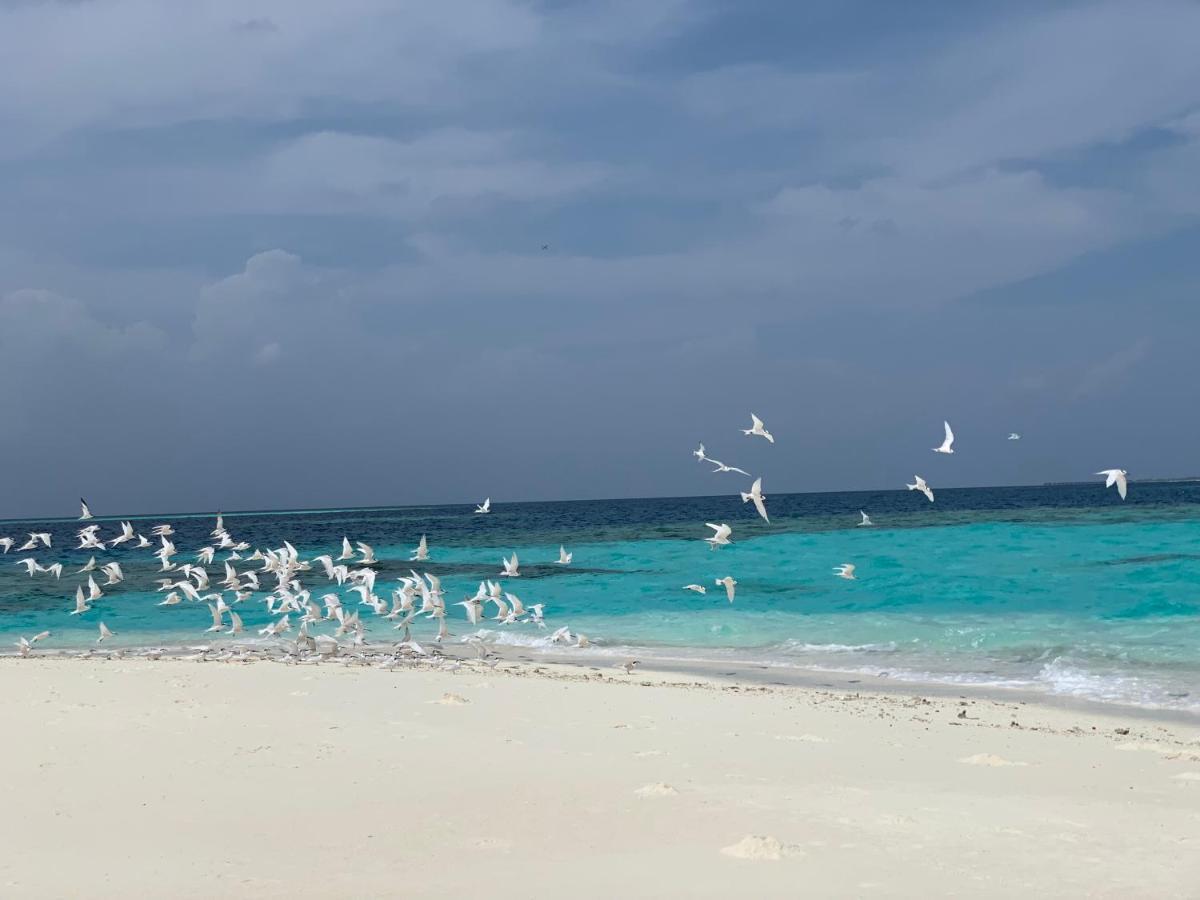 Perla Dhangethi Esterno foto